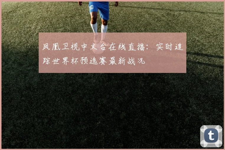 凤凰卫视中文台在线直播：实时追踪世界杯预选赛最新战况