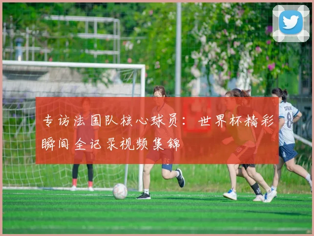 专访法国队核心球员：世界杯精彩瞬间全记录视频集锦