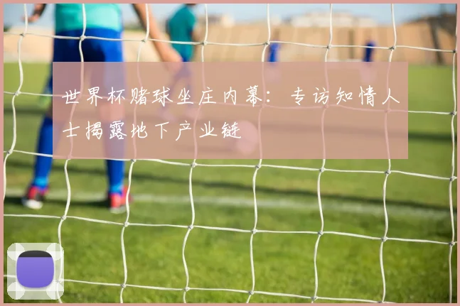 世界杯赌球坐庄内幕:专访知情人士揭露地下产业链
