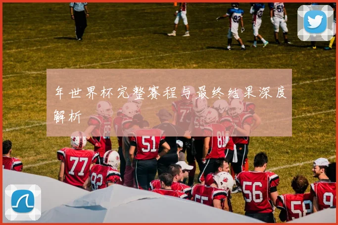 年世界杯完整赛程与最终结果深度解析