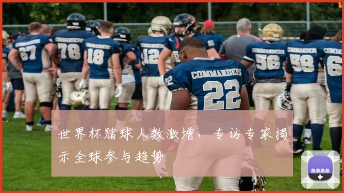 世界杯赌球人数激增,专访专家揭示全球参与趋势