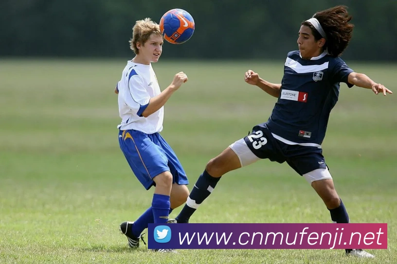 爱体育电子官方网站APP 封面图